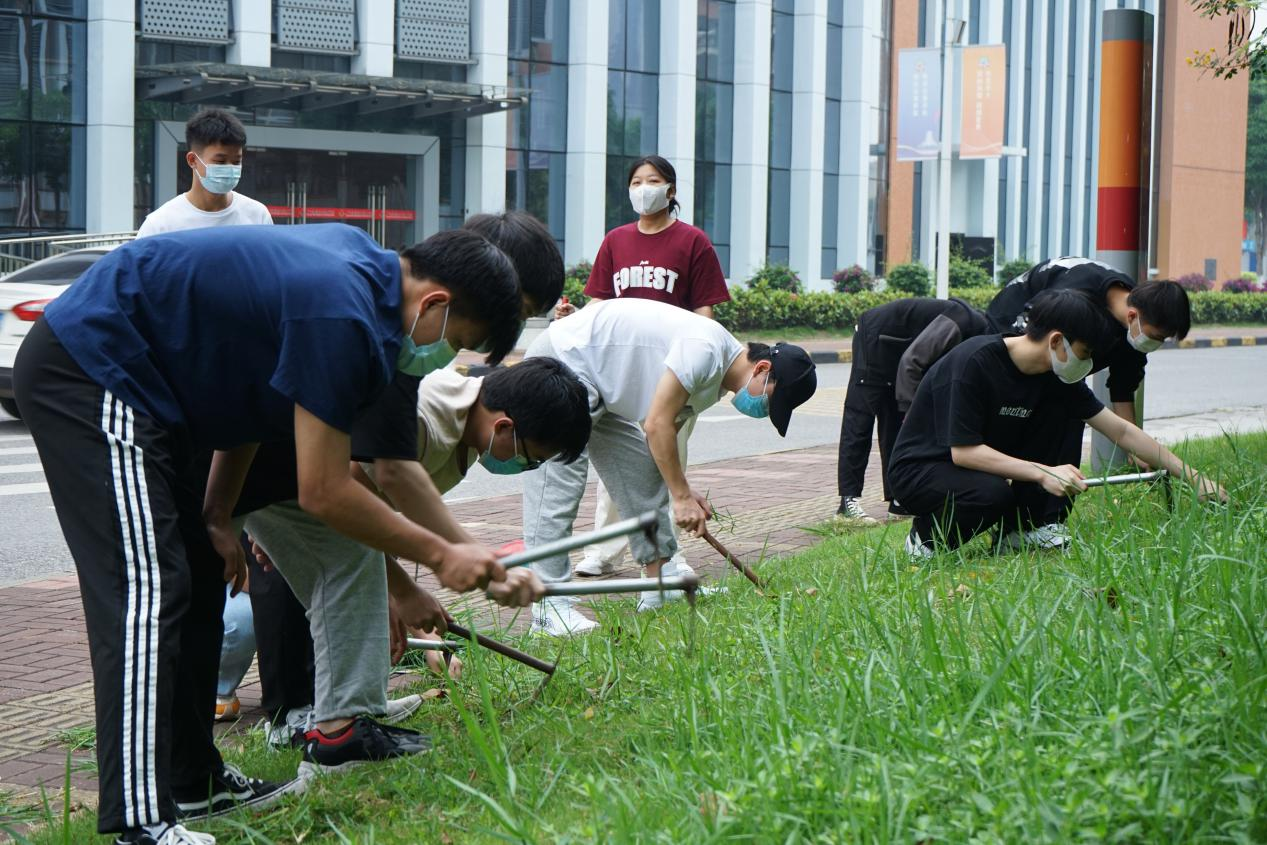 同学们在清除杂草