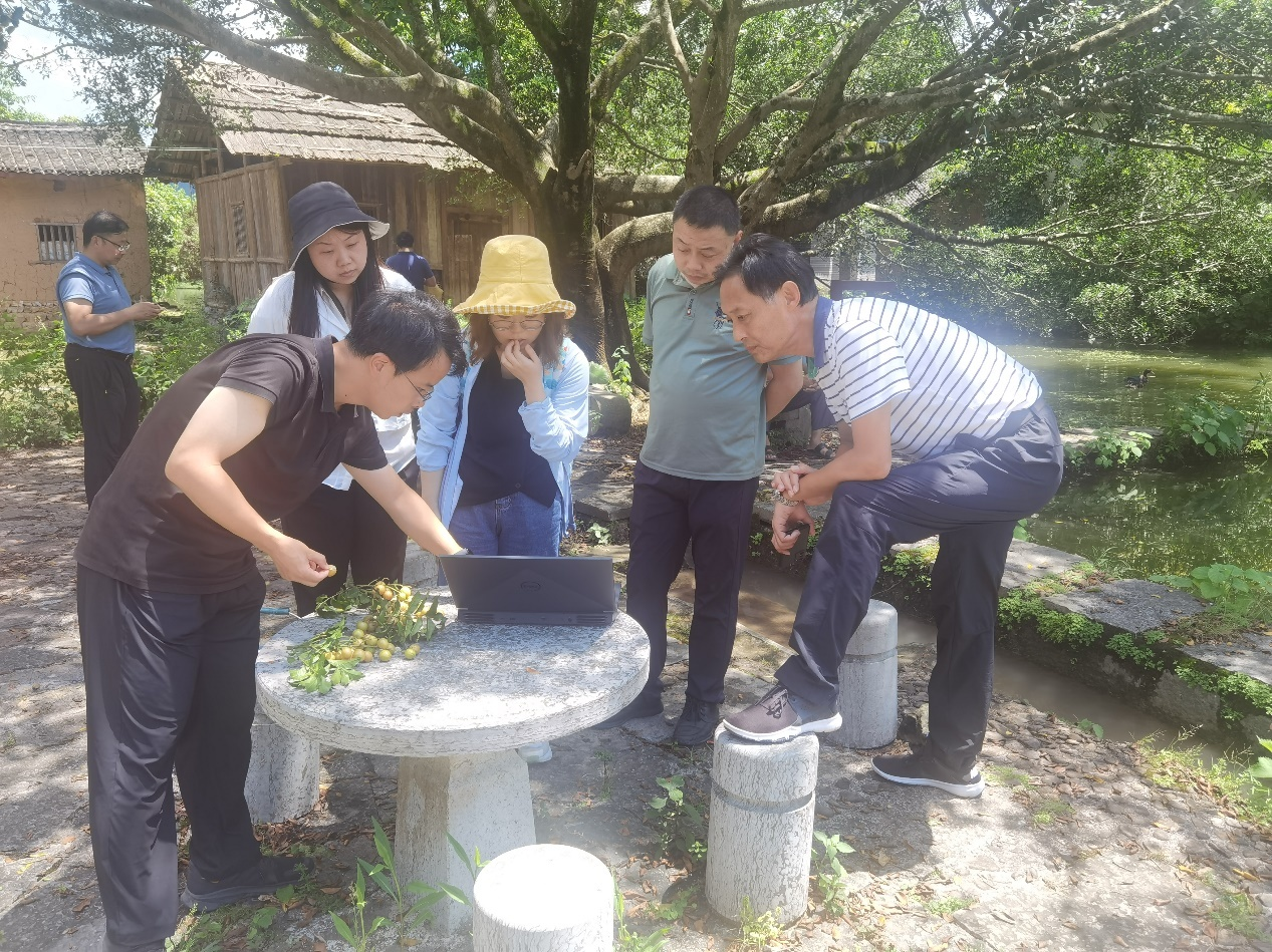 专家组与清华大学教授团队现场交流方案