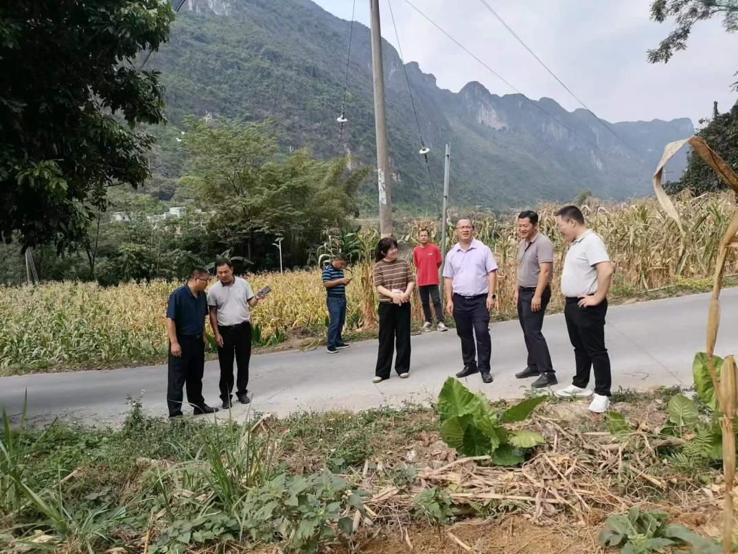 龙湾乡政府领导向工作小组现场说明拟建道路走向