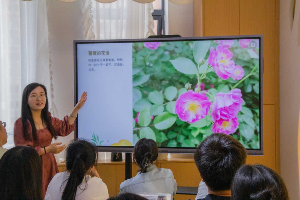 朱秋敏老师介绍蔷薇的花语