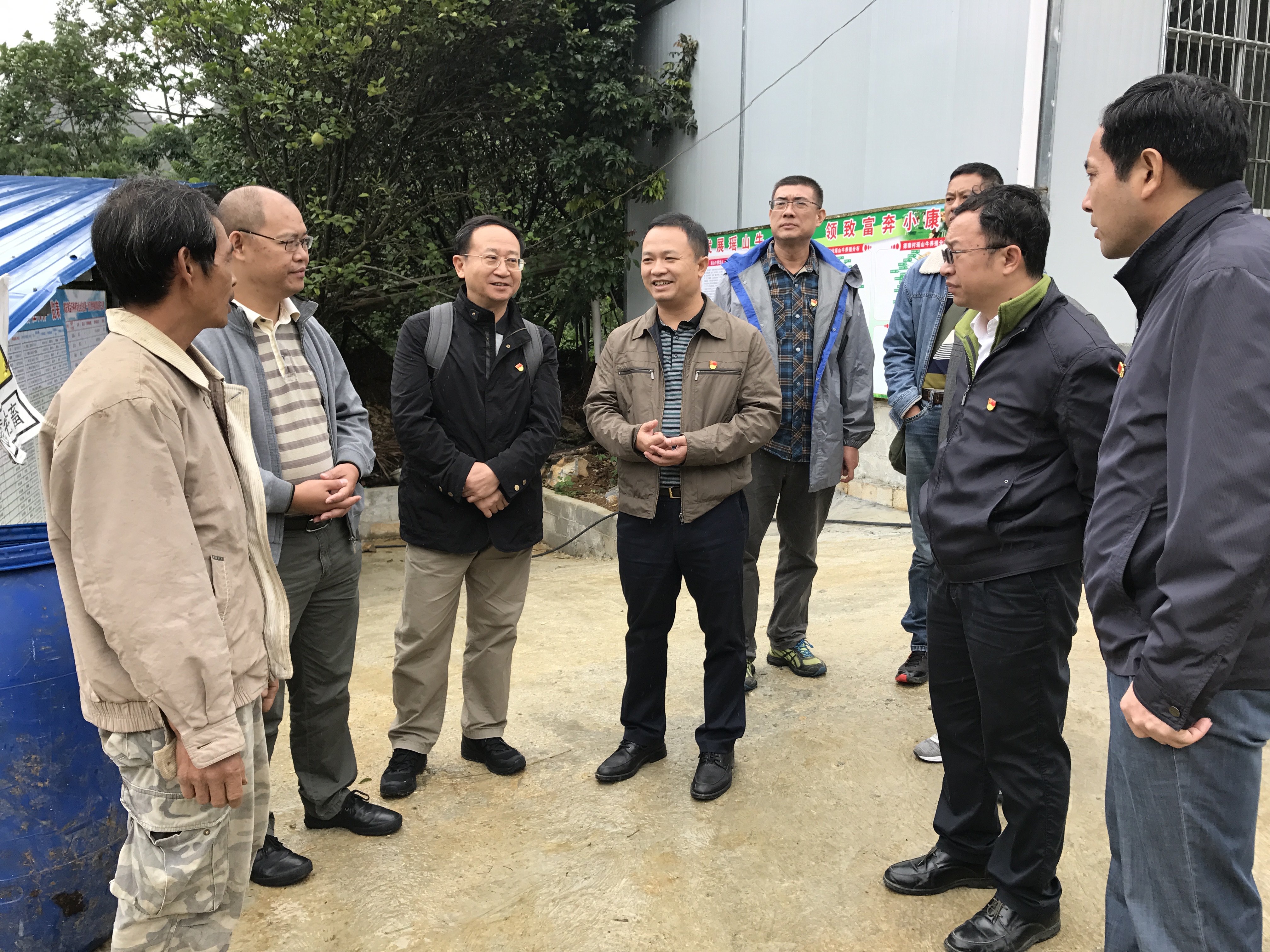 与合作社工作人员探讨养牛项目