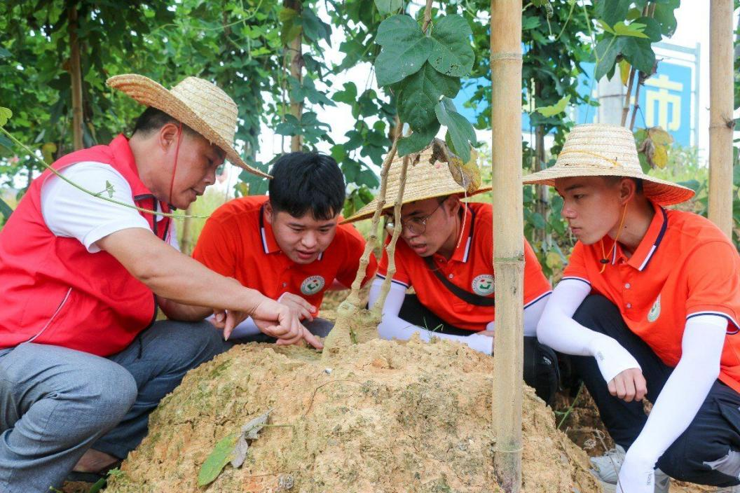 实践团进行实地调研及现场勘察