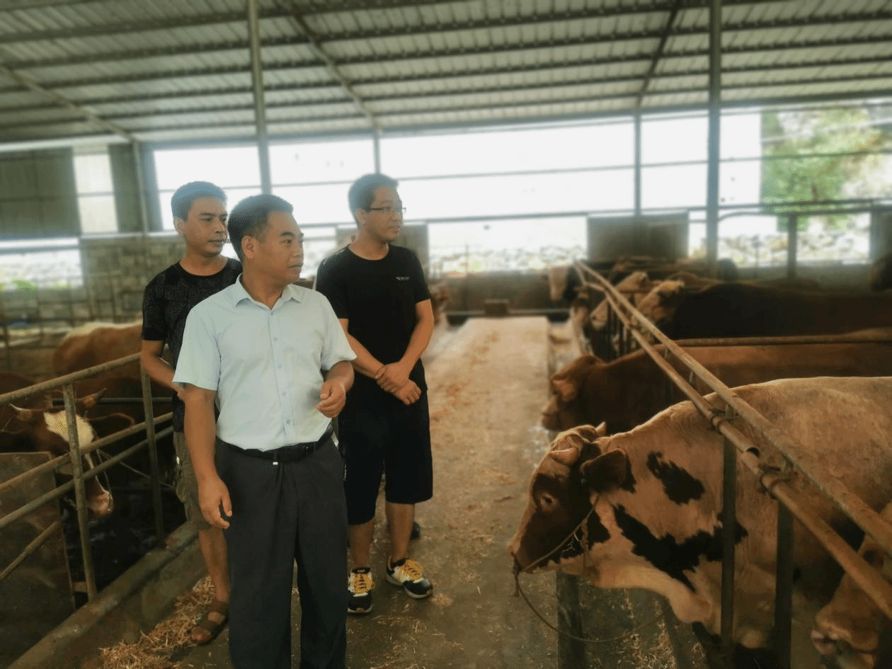 检查组实地走访群乐村乡村振兴建设项目