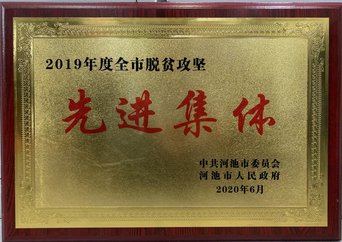 我校党委组织部荣获“2019年度河池市脱贫攻坚先进集体”称号